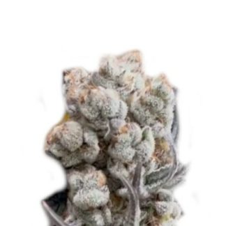 Alien-OG