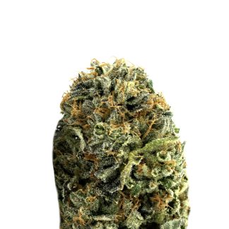 afghan-kush-auto