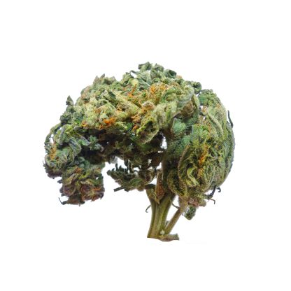 big-bud-auto