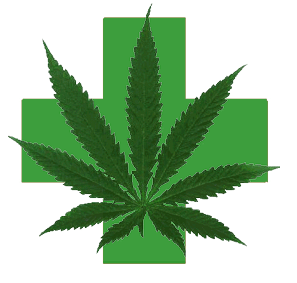 sementes de cannabis ricas em CBD