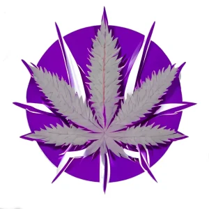 sementes cannabis purple