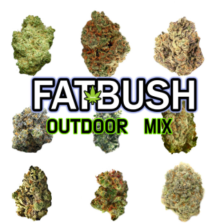 Outdoor Mix Feminizada 20 Sementes
