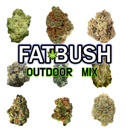 Outdoor Mix Feminizada 20 Sementes